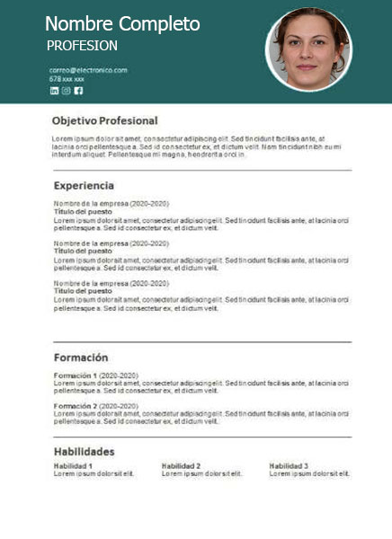 plantilla currículum estadísta